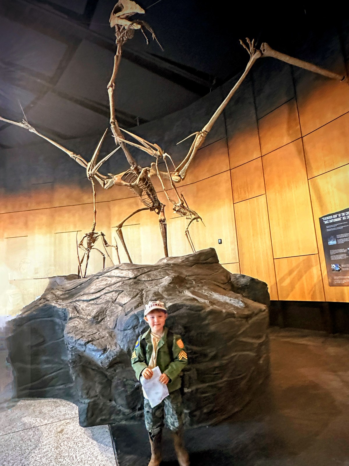 Coleman’s Dinosaur Day at Schiele&nbsp;Museum