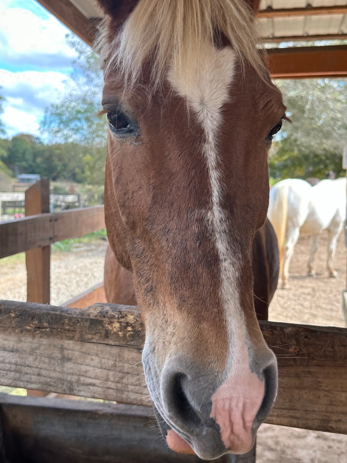 Macro Monday Portrait – You Said You Wanted a&nbsp;Close-Up