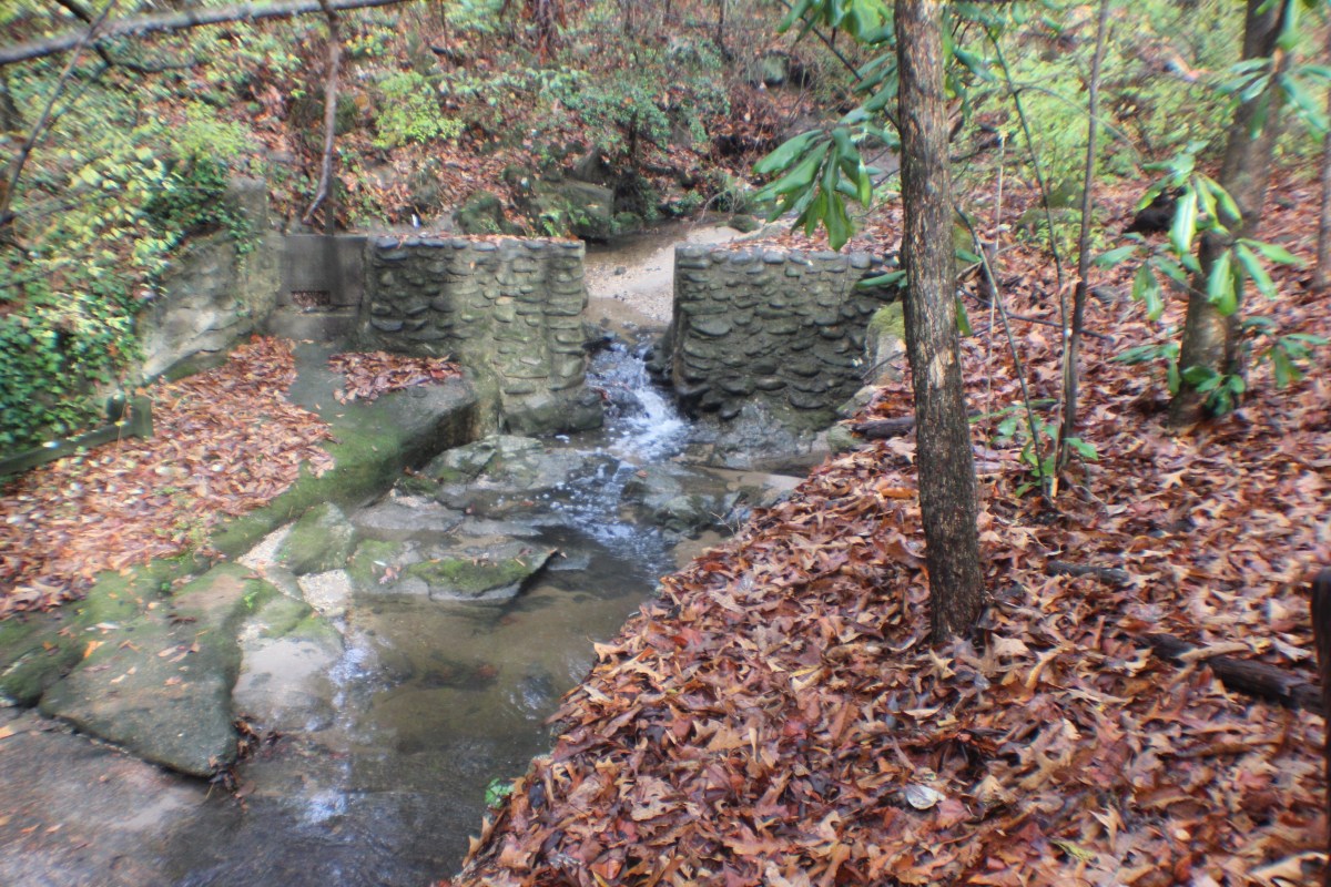 Water Reflections and Autumn&nbsp;Leaves