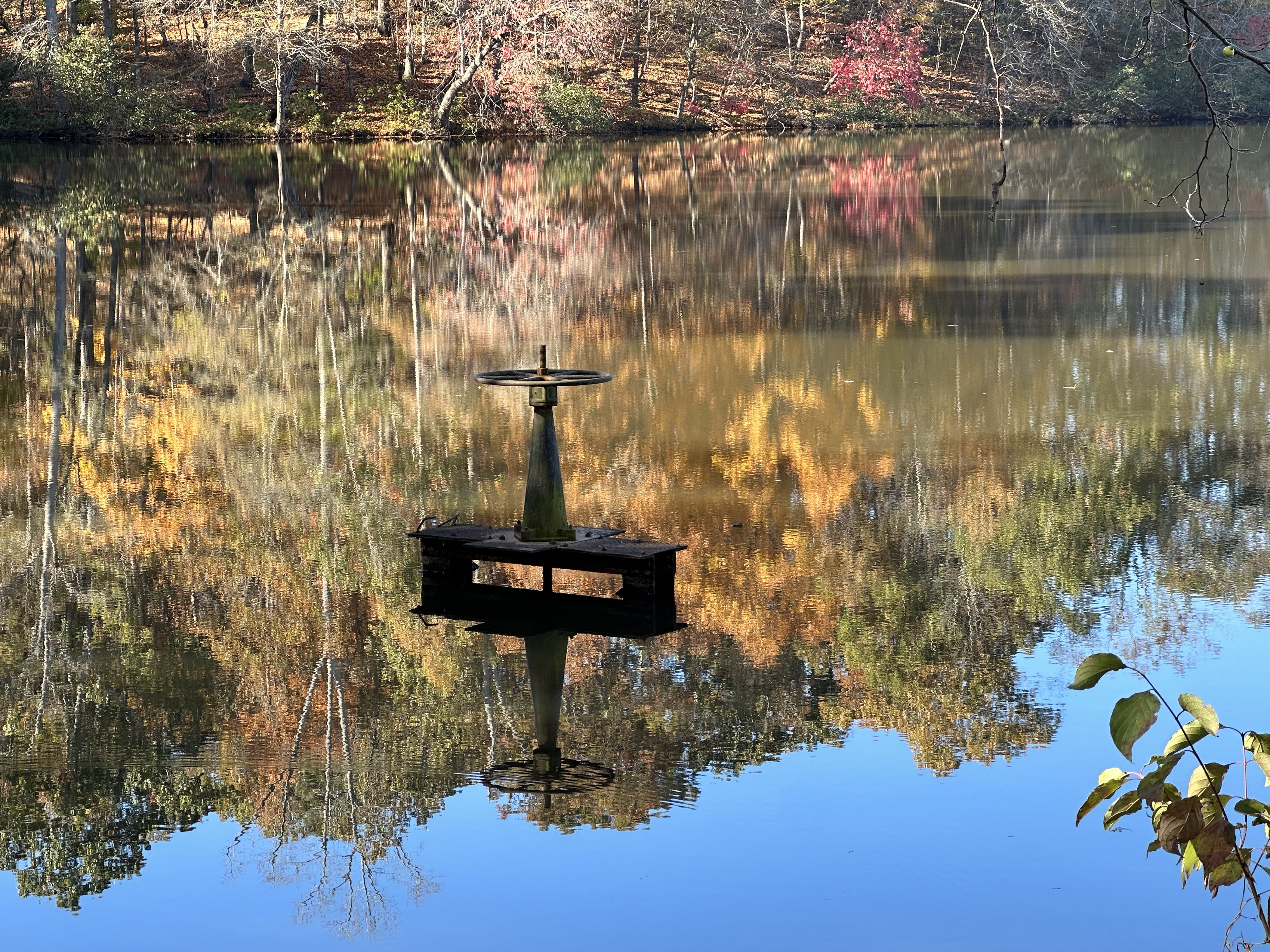 This image has an empty alt attribute; its file name is img_0332.jpg