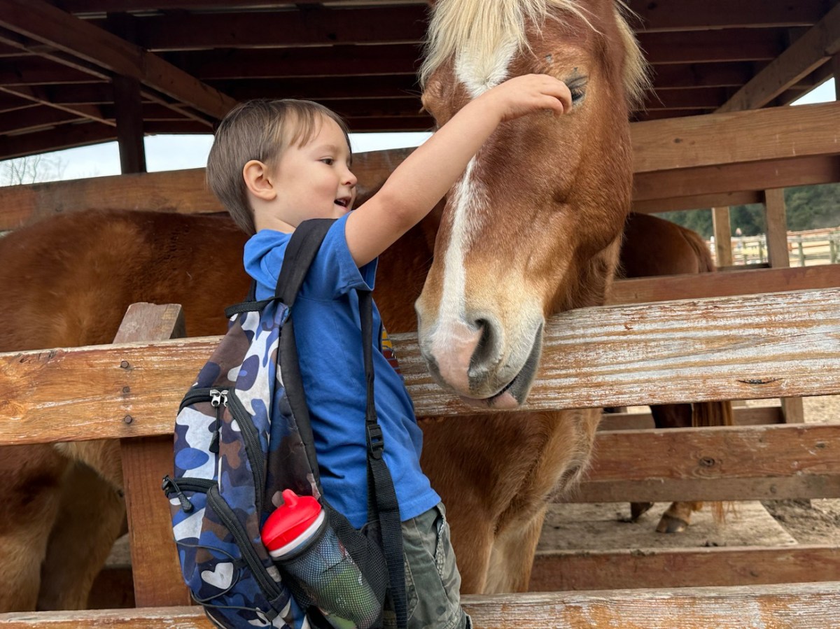 2025 LAPC #364 — A Quiet&nbsp;Moment