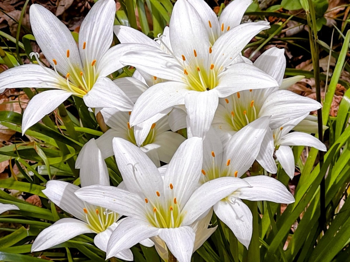 2024 Weekend FOTD: June&nbsp;1/2