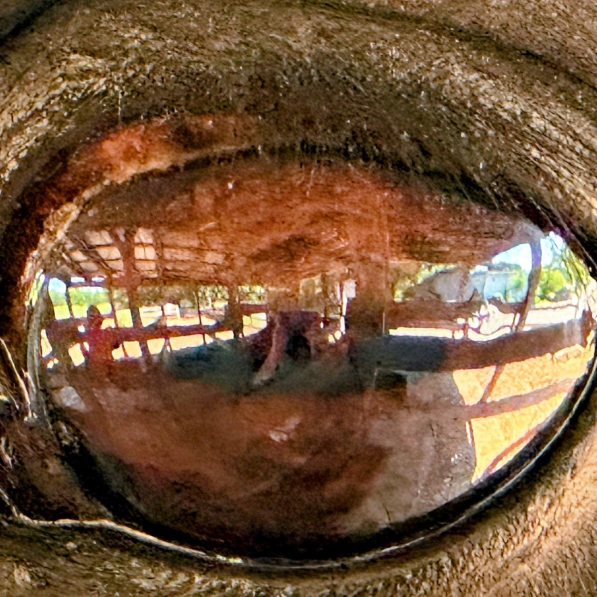 2024 Macro Monday:&nbsp;05.20