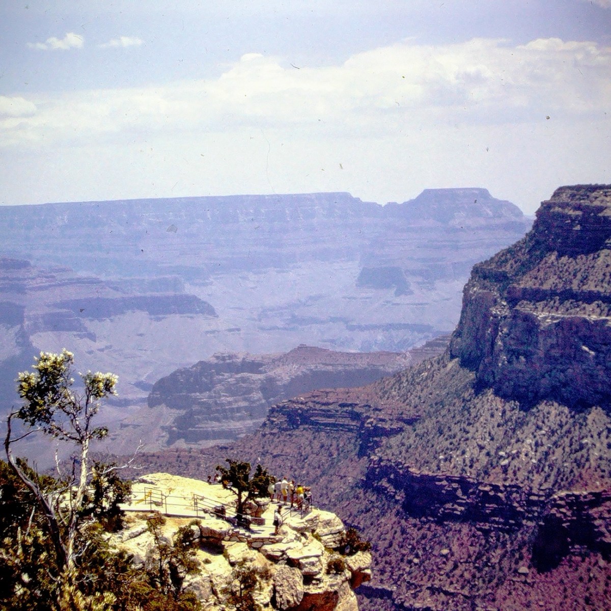 Pull Up a Seat: 2024 Week&nbsp;21