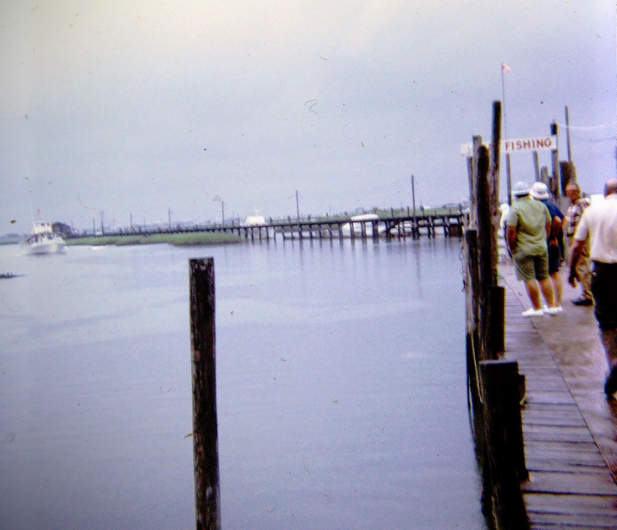 Moving Forward In & Around&nbsp;…