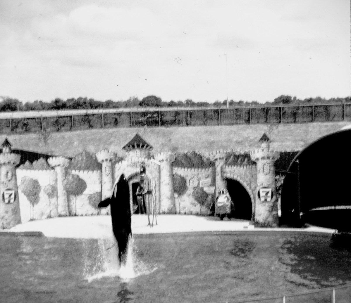 Breaching the Waters of&nbsp;Time