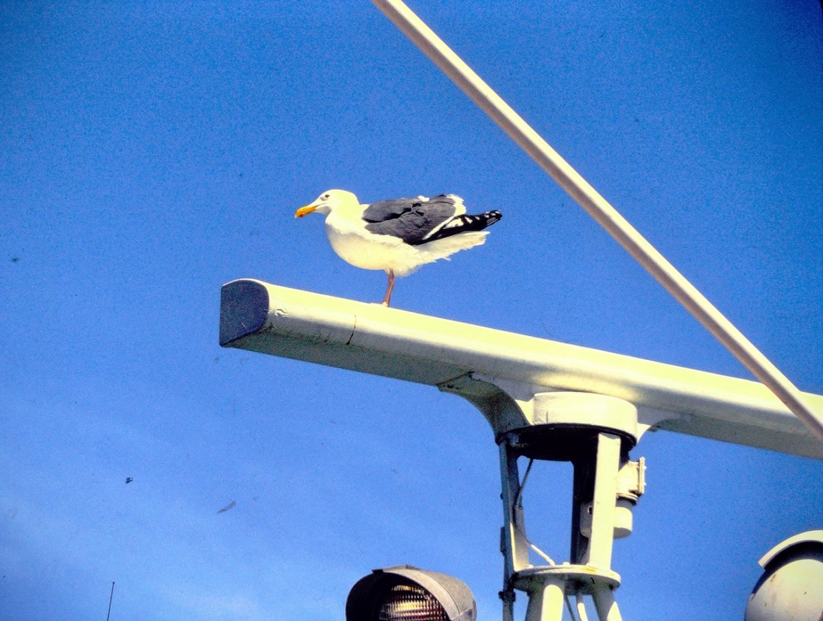 2024 Wordless Wednesday:&nbsp;06.12