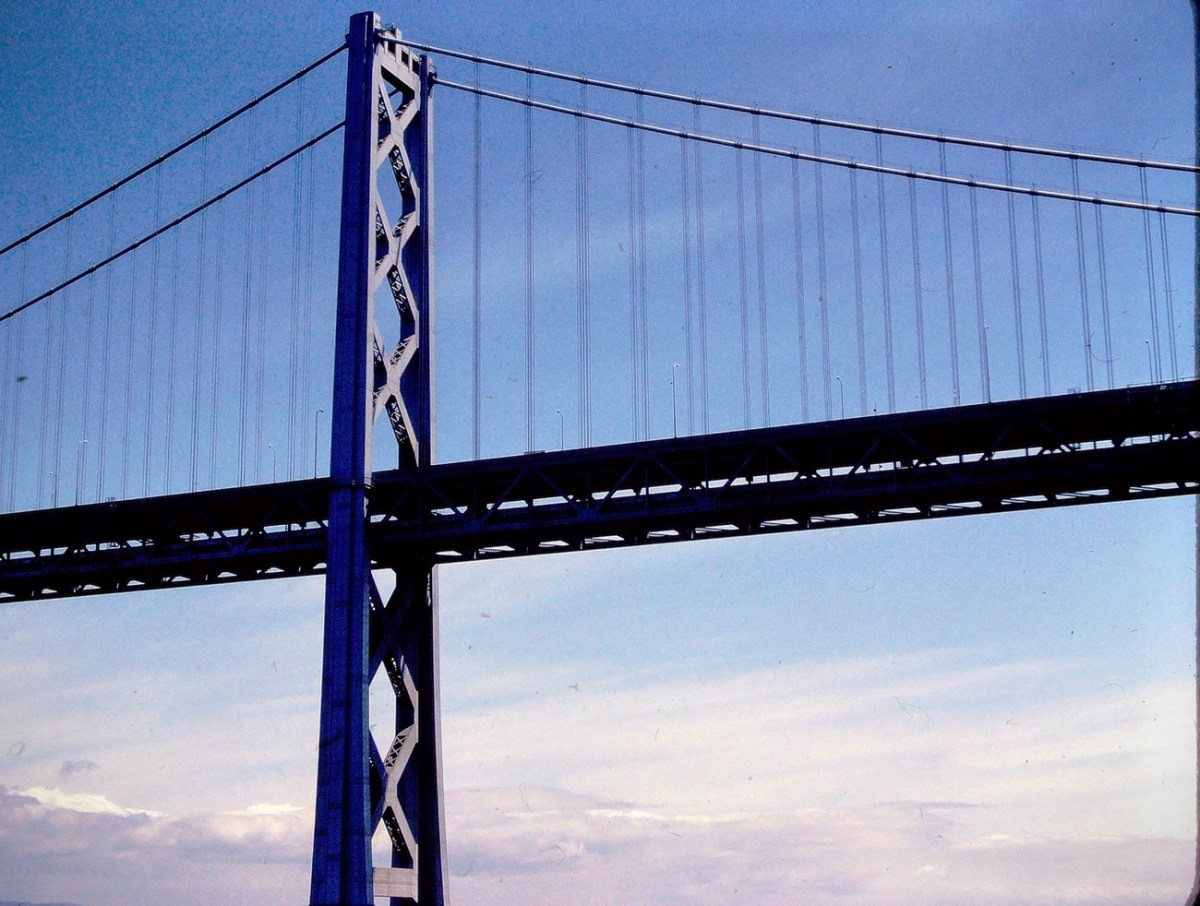 2024 CWWC: June — Week&nbsp;2