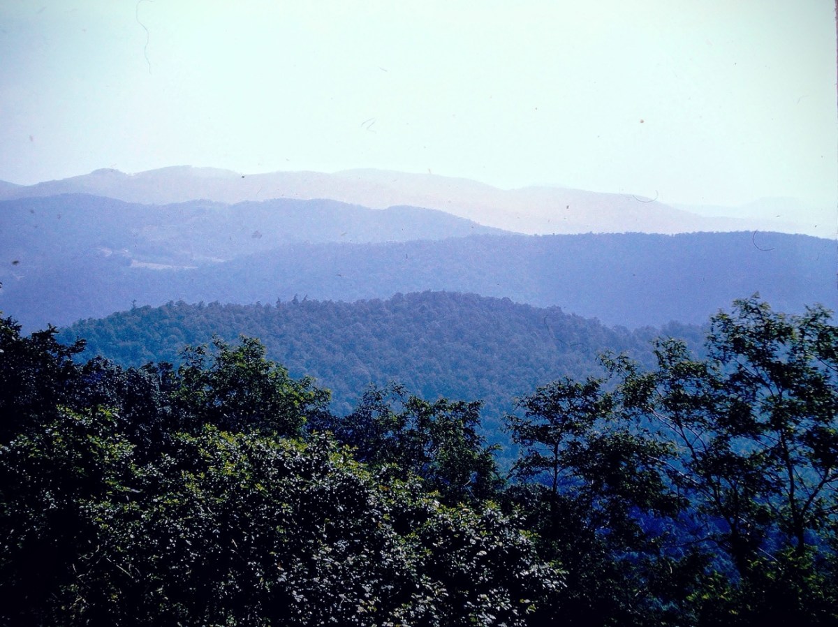 2024 Silent Sunday:&nbsp;06.23