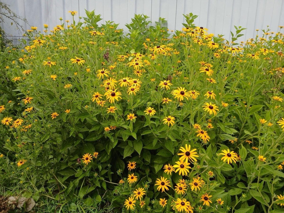 Words for Thought&nbsp;#28