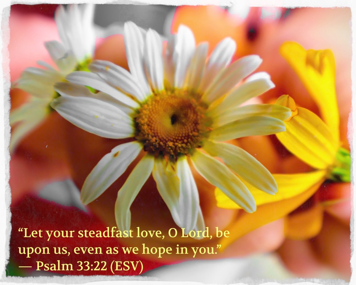 Words for Thought&nbsp;#27