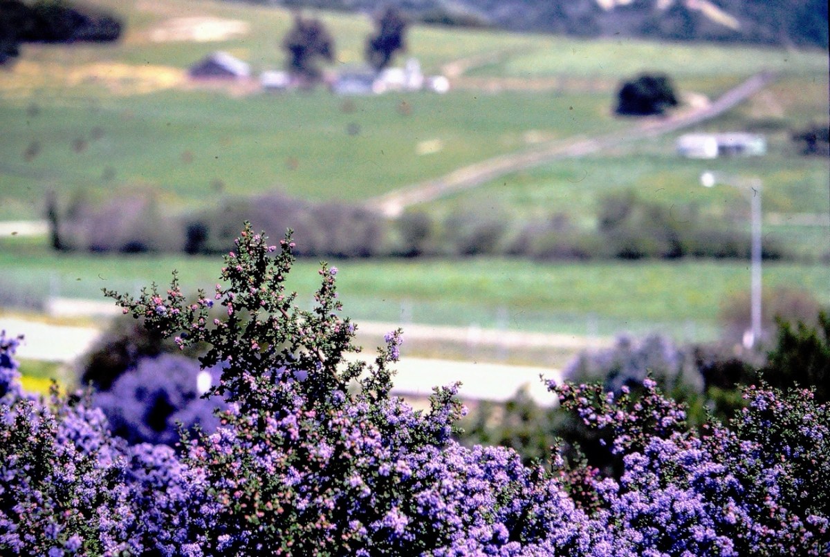 2024 Silent Sunday:&nbsp;07.07