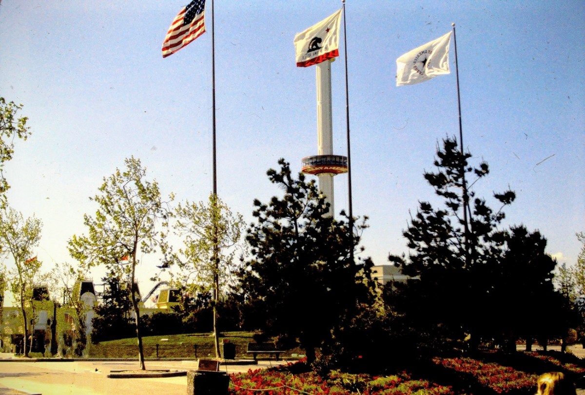 2024 CWWC/CPC: July  — Week&nbsp;3