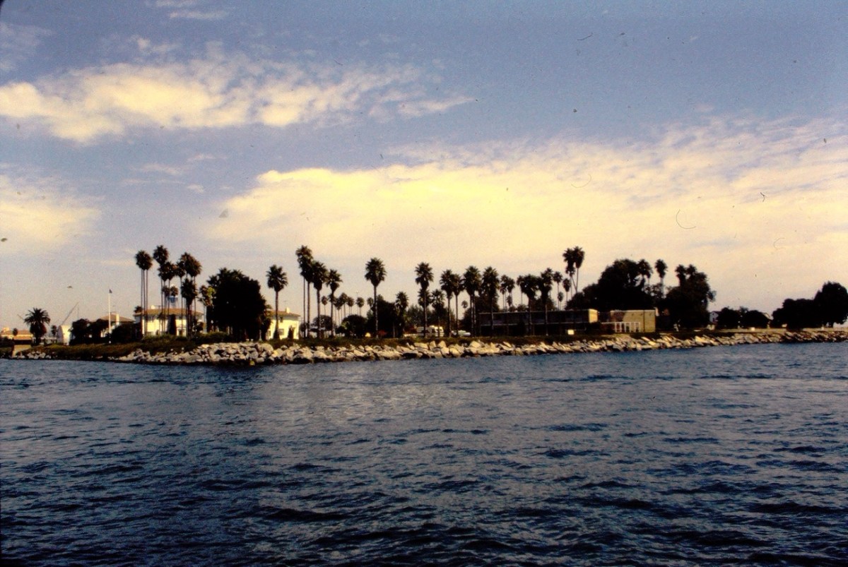 2024 Wordless Wednesday:&nbsp;07.17