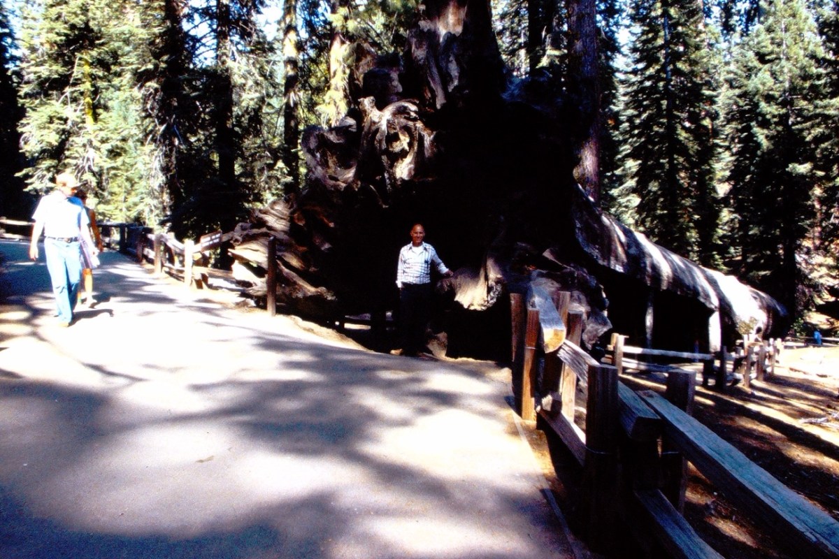 2024 Judy’s Numbers Game #30 —&nbsp;151