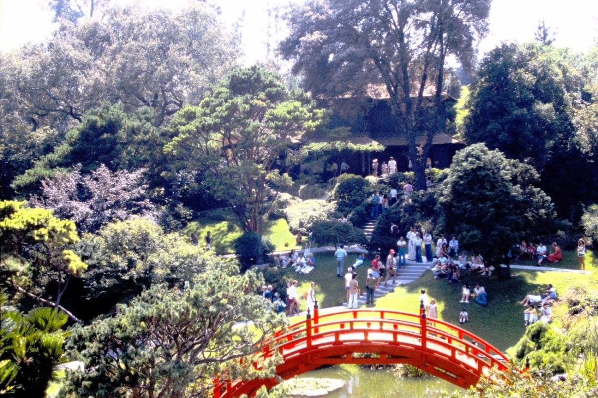 A Walk Through a Japanese&nbsp;Garden
