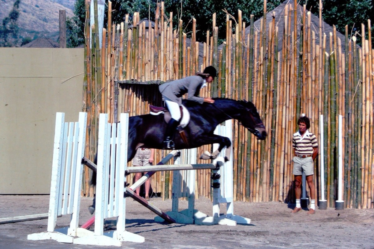 2024 Wordless Wednesday:&nbsp;07.31