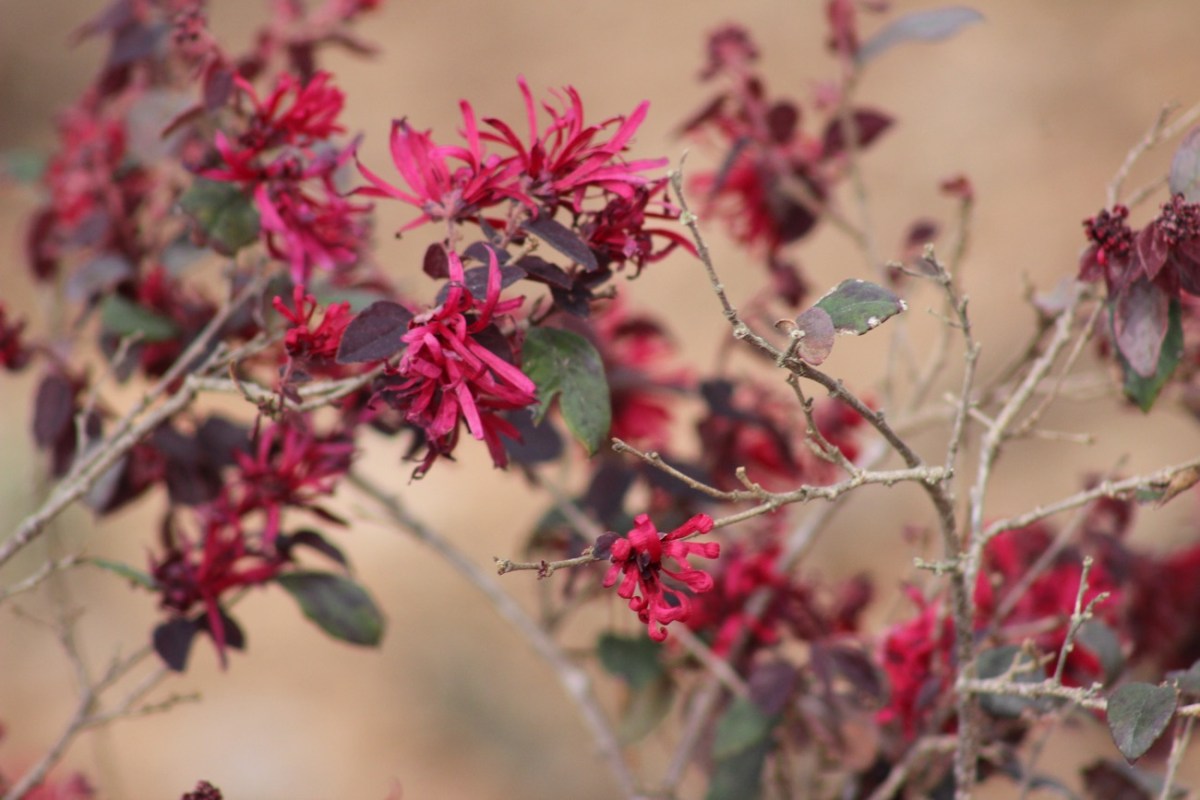 2024 Weekend FOTD:&nbsp;08.10/11