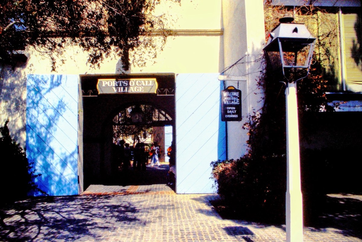 2024 CWWC: My Which Way — August – Week&nbsp;2