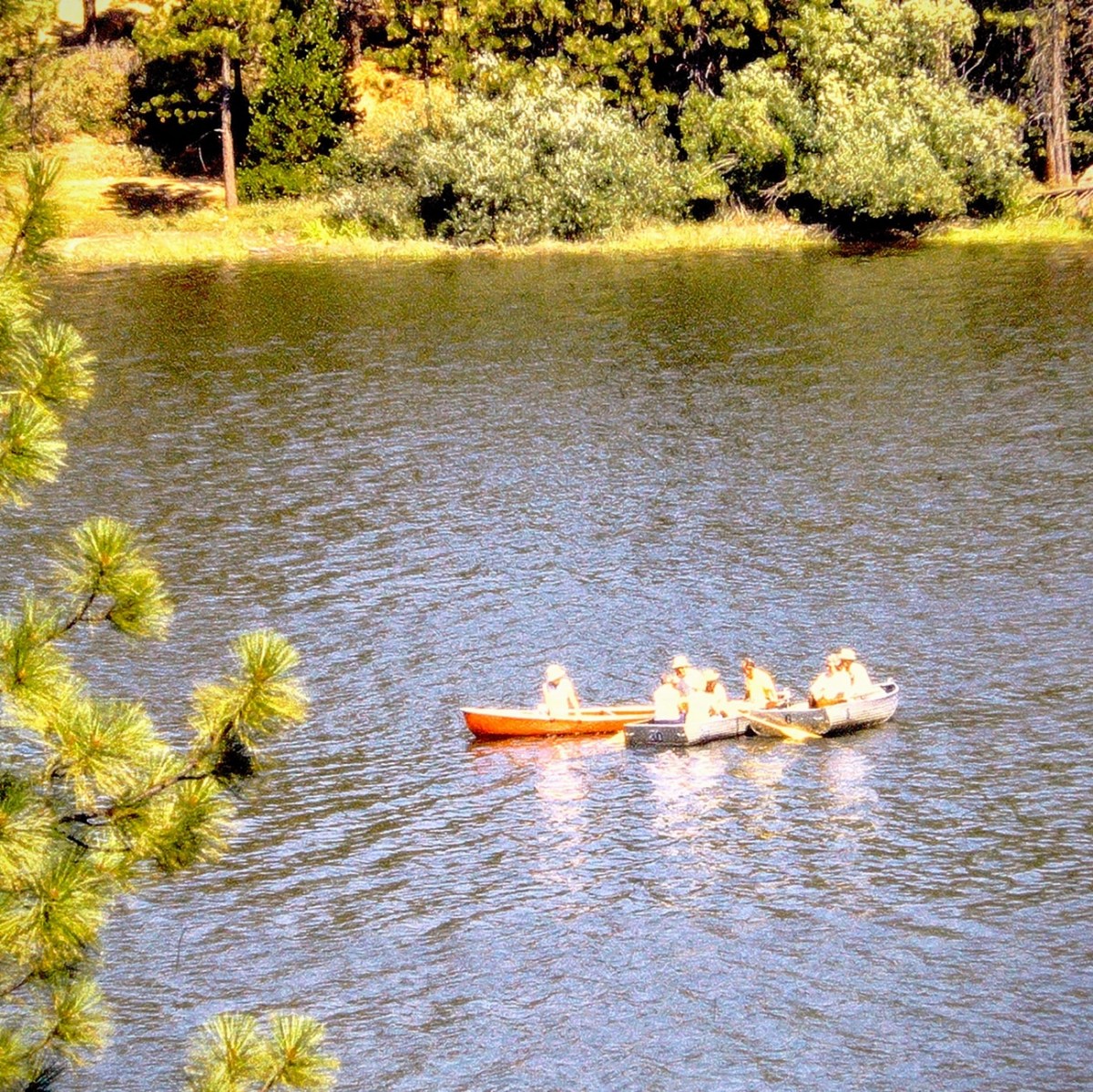 2024 Thursday Trios: Boats on Hume&nbsp;Lake