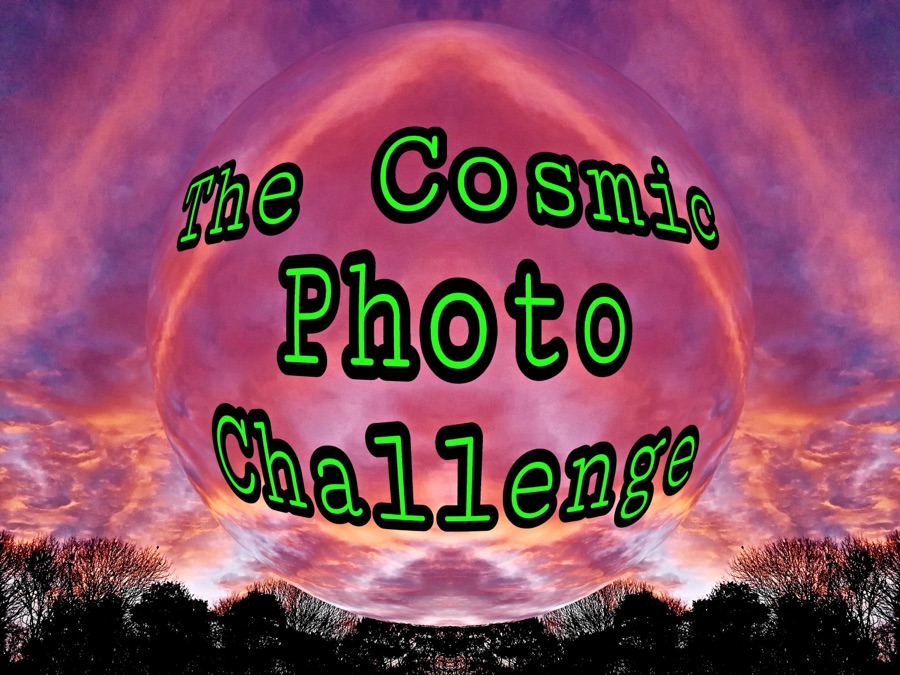 2025 CosPhoChal: Wildflowers