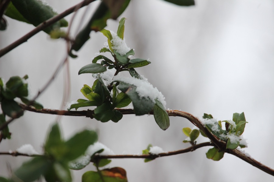 2025 Silent Sunday: February&nbsp;23