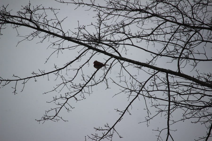 2025 Weekend Sky(Watch)&nbsp;Friday