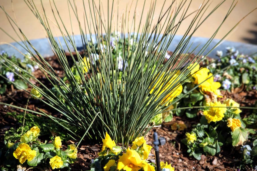 2025 Cee’s FOTD: February&nbsp;27