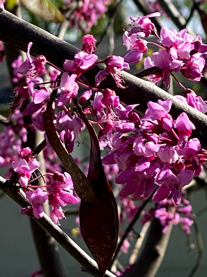 2025 Cee’s FOTD: February&nbsp;18