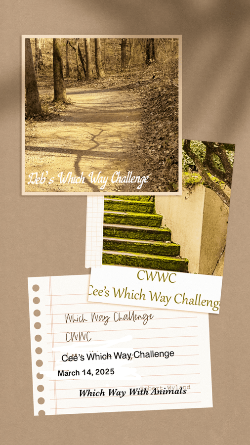 2025 Which Way Challenge (CWWC): March Week 2 —Any animal in your which&nbsp;way