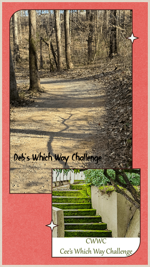 2025 Which Way Challenge (CWWC): 12.12 — Any Which Way with a Holiday theme. — Part 1 (Will run for two (2)&nbsp;weeks).