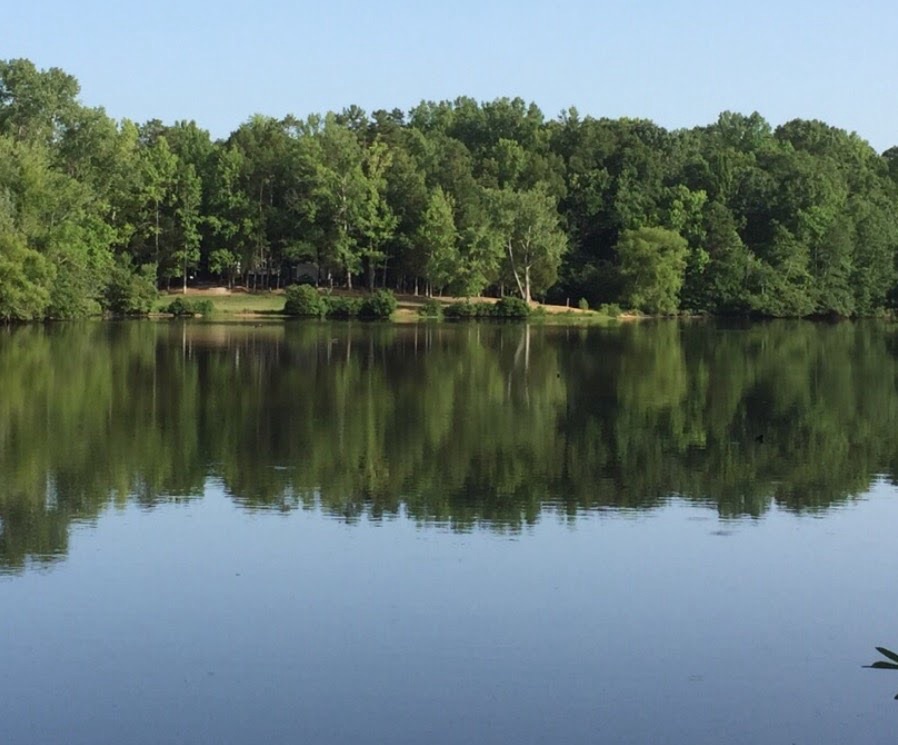 2025 Silent Cell Pic Sunday: 27&nbsp;April