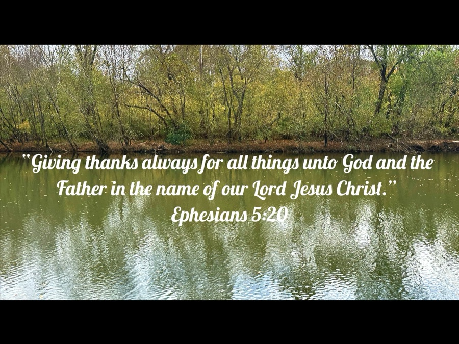 One-Liner Wednesday: 30 April —Thanks for&nbsp;Everything