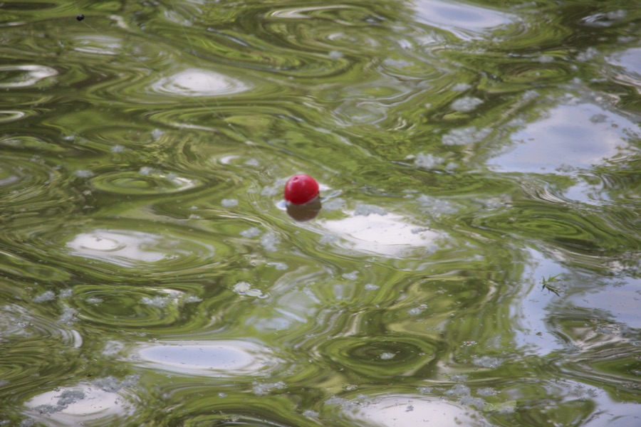 2025 Silent Sunday: 04&nbsp;May