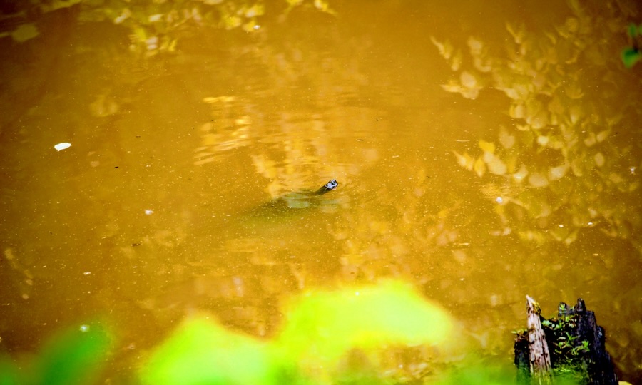 2025 Wordless Wednesday: 14&nbsp;May