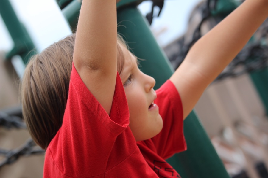 2025 Silent Sunday: 18&nbsp;May