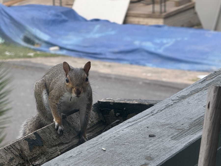 2025 Monday Portrait: 05 May&nbsp;—