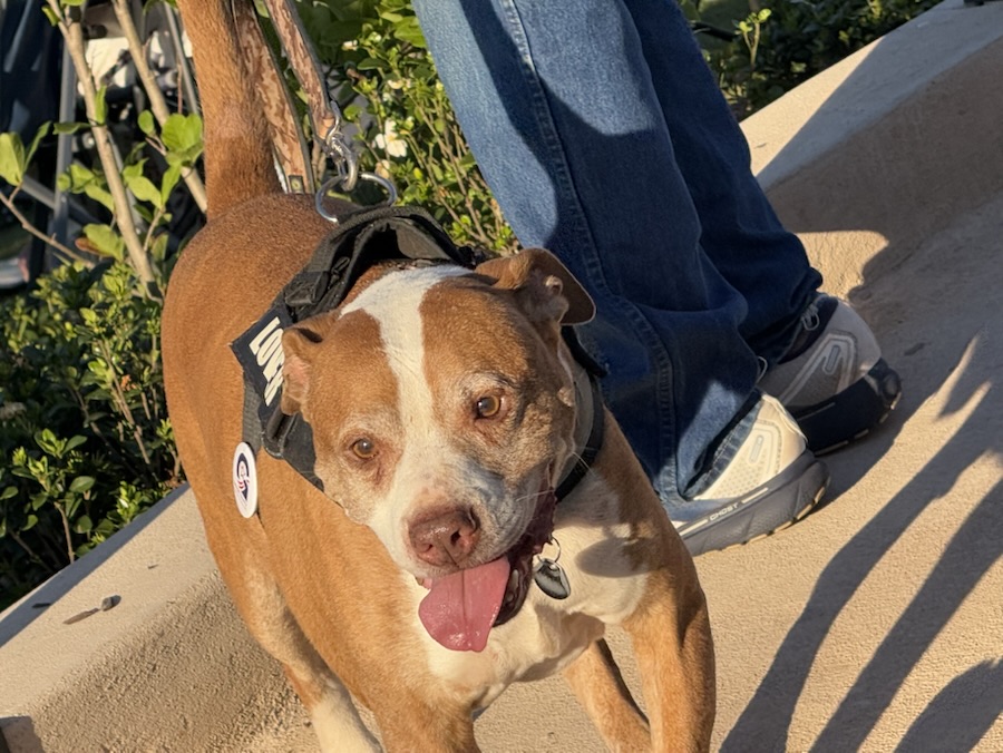 2025 Monday Portrait: 26&nbsp;May