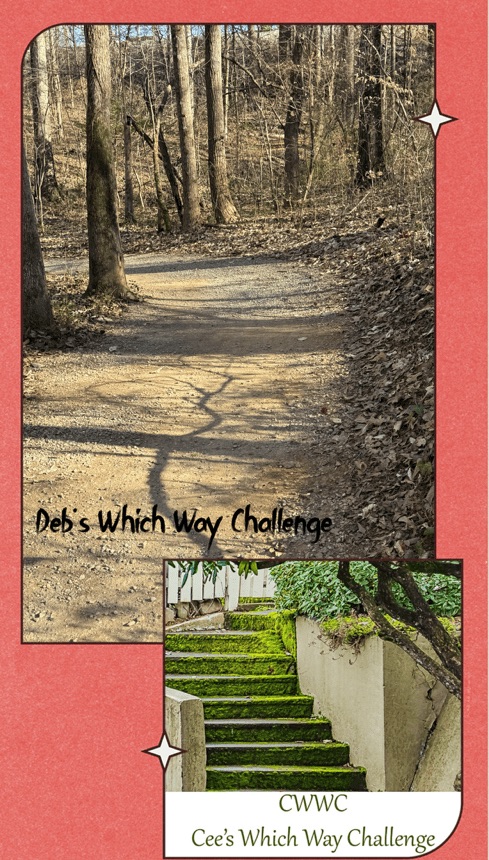 2025 Which Way Challenge (CWWC): Any Which Way with Autumn Colours & News&nbsp;Note