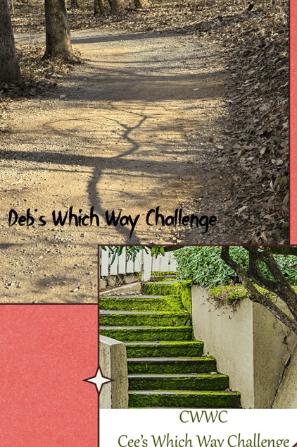 2025 Which Way Challenge (CWWC): Any Which Way with&nbsp;Any type of&nbsp;Signs