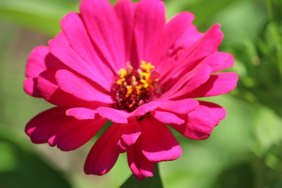 2025 Macro Monday:&nbsp;06.16