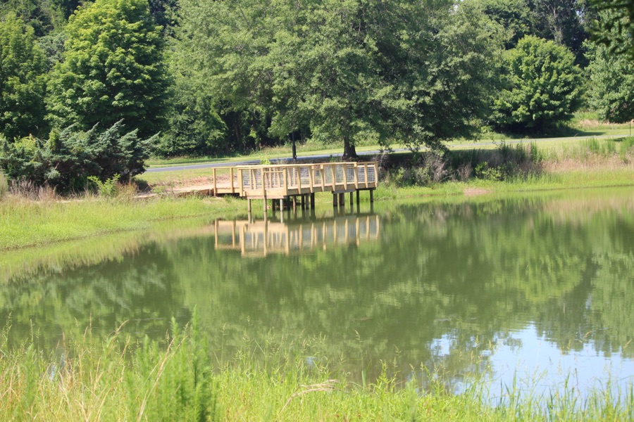 2025 WWE: Pond Water&nbsp;Reflections