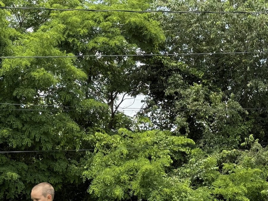 Even Trees Spread Love ❤️ for&nbsp;Y’all