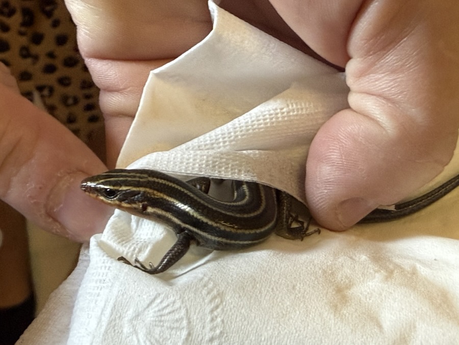 2025 Monday Portrait: 23&nbsp;June