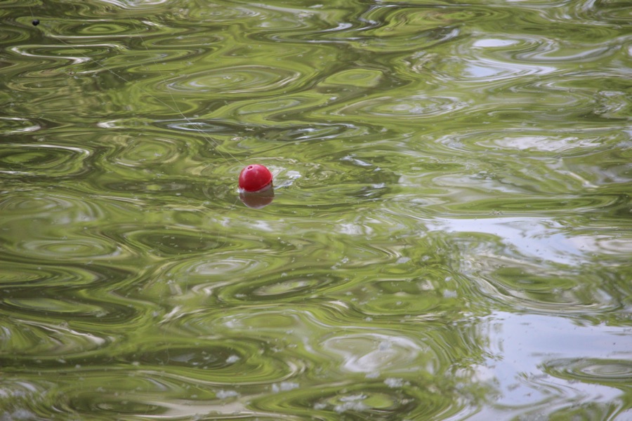 #Simply#RED #6 –&nbsp;2025.07.06