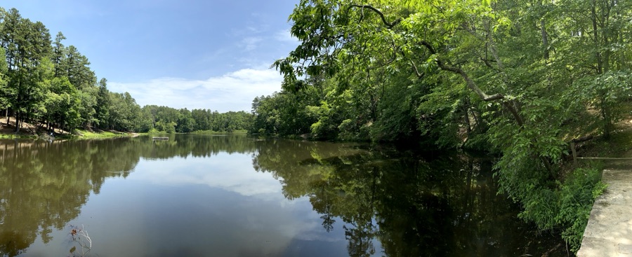 2025 LAPC #357 — Into the Woods — Through the&nbsp;Trees