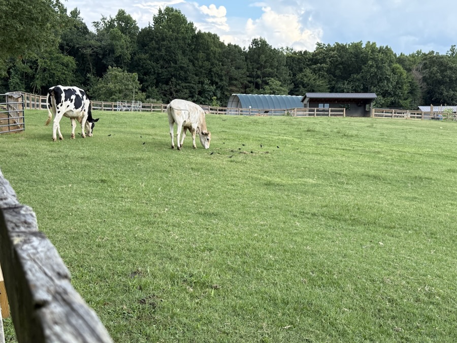 2025 Monday Portrait: 07&nbsp;July