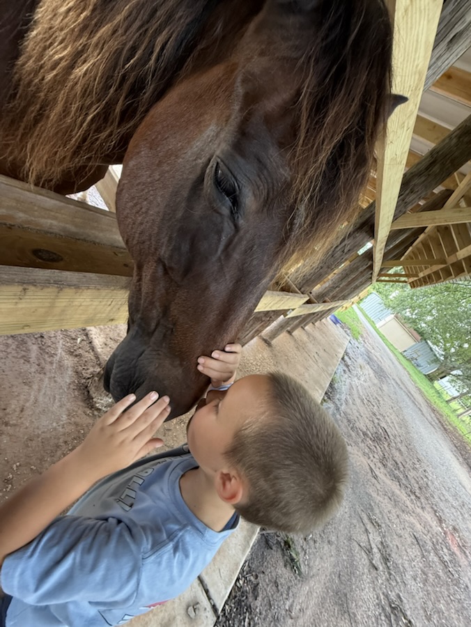 2025 Silent (Almost) Cell Pic Sunday:&nbsp;06.07