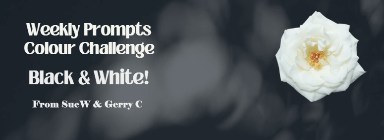 2025 Greenway in Black &&nbsp;White