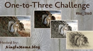 One-To-Three Challenge 